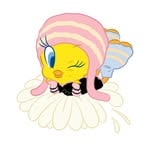 @dlwlrma