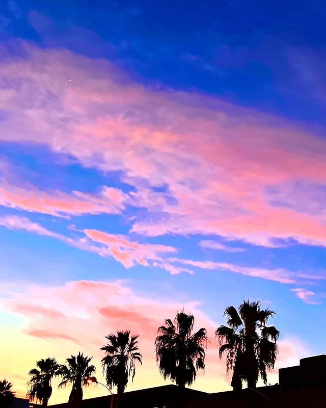 Colors of a random Monday.