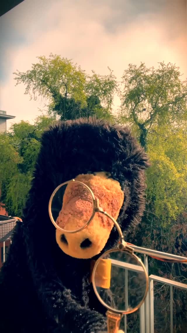 Hage Frühling‘gage!!!🥰 by @de_maulwurfn_official