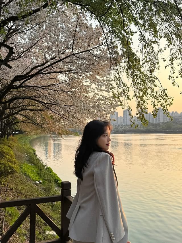 올해는 바빠서 벚꽃을 못 봤어요🥺🌸이건 재작년의 나👶 by @subin__t