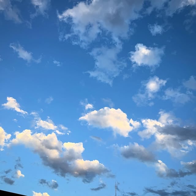 Shibuya no Sora天気良いけど風が強い…渋谷の空。 by @suzuki.d.minoru