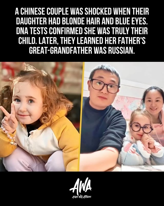 A couple in China welcomed their baby girl and were shocked to see she had blonde hair and blue eyes. With no one in their immediate family looking that way, they feared something had gone terribly wrong at the hospital. Doubts grew and a DNA test was done to confirm paternity.The results showed the father was indeed biologically related to the child. Digging deeper into family history revealed a hidden Russian great grandfather in their ancestry. The lighter features were recessive traits that had quietly traveled through generations before finally reappearing.