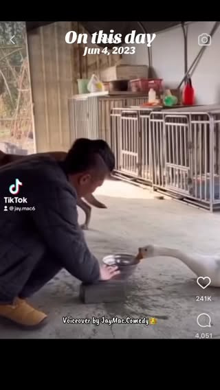 Ain’t gone be no mo Aflac 👀😂😂 #onthisday #dog #voiceover #animals