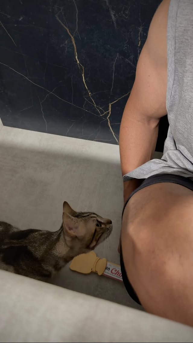 Milos ha avanzado, a su manera pero hemos dado otro pasito chic@s 🥹😻 by @cristian_atm