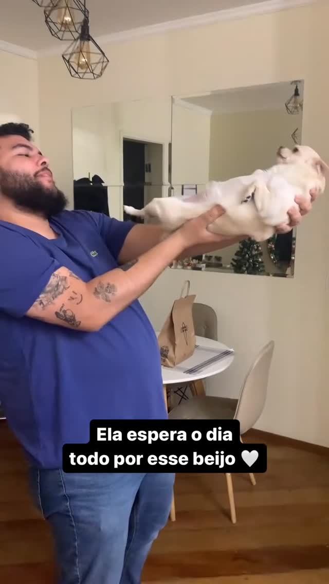 am just a baby💛 | Follow @barked for more cute dogs!
-
📹 @zoe_nomundo
-
#chihuahua  #barked