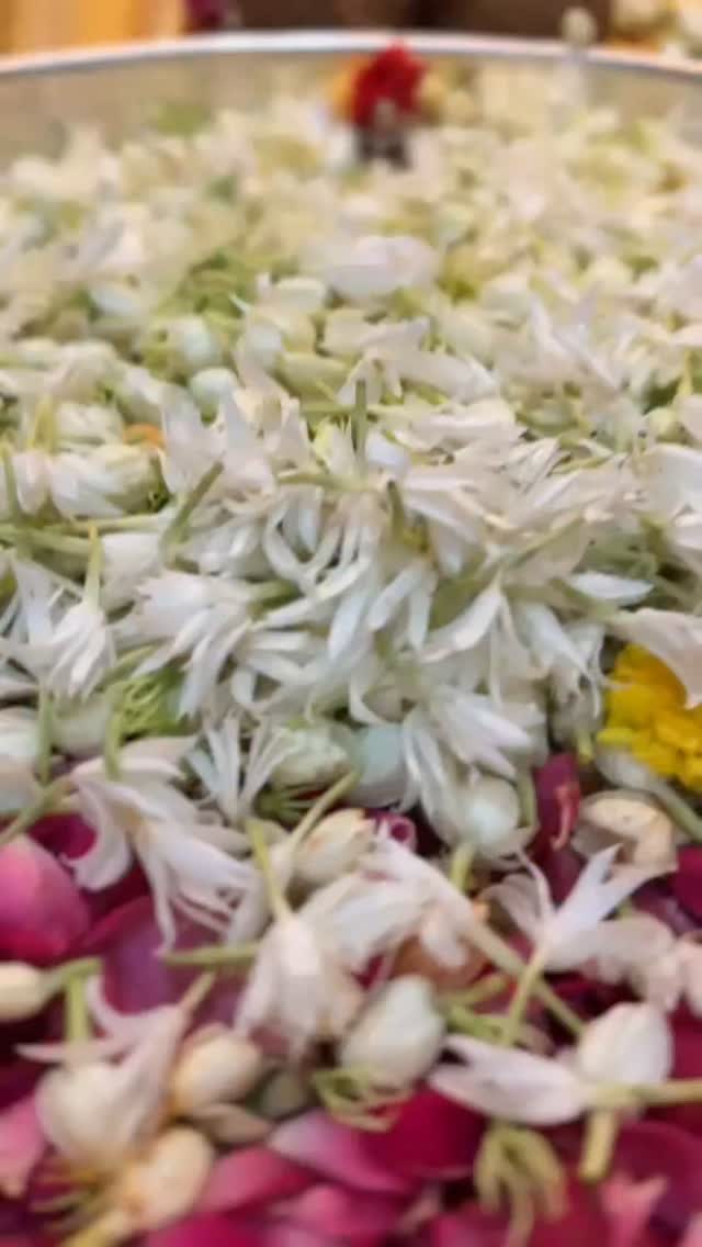 ०६/०६/२०२६ Shri mahalakshmi mandir mumbai🌷 by @shreemahalakshmi.mumbai