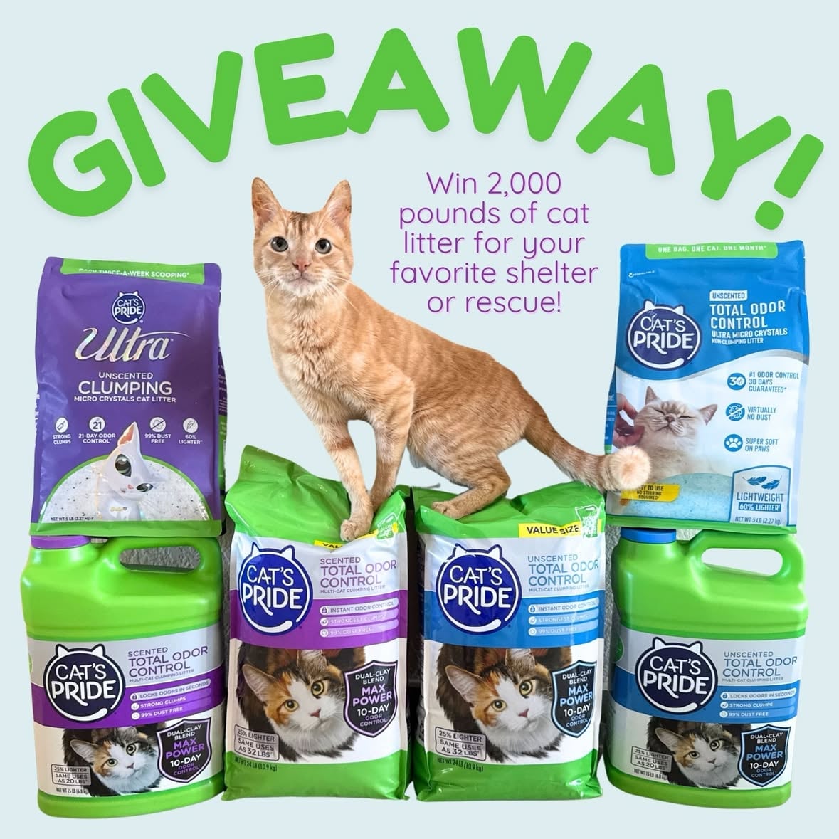 Tag your favorite shelters and rescues below for a chance to win them an entire pallet of litter donated by @catspride cat litter! We’ll be randomly selecting 3 winning organizations on June 14, and you can enter as many organizations as you want.

Through the Cat’s Pride #GoBigGoHome campaign, each package of Cat’s Pride Litter donates one pound to animal shelters. They have a goal to donate 1 million pounds of litter!
 
If you have cats, this is the brand of litter to get, because they genuinely do so much good for shelters! Whether you prefer clay or crystals, scented or unscented, they have something that works for every cat and every home, and it feels good to know that every purchase is truly making a difference for shelter cats. I often see their donations arriving at many of the shelters I work with and it is just so cool to see the impact these donations make!
 
*U.S. Only – Must be 18 years or older to nominate
*Void where prohibited
*No Purchase necessary to enter your favorite shelters
*Winner must have storage space for a pallet of litter
*Three winners will be contacted June 14!
