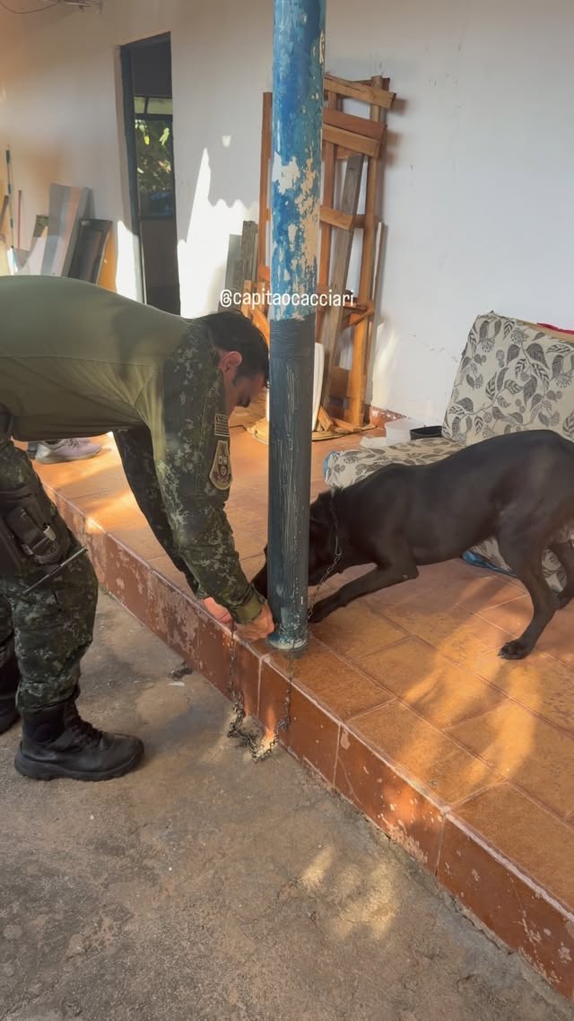 @capitaocacciari Resgatado e ira para adoção após exames…#cadeiaparamaustratos #meioambienteagradece #animales Nossa missão diária é proteger ! by @tenente.bernardobax