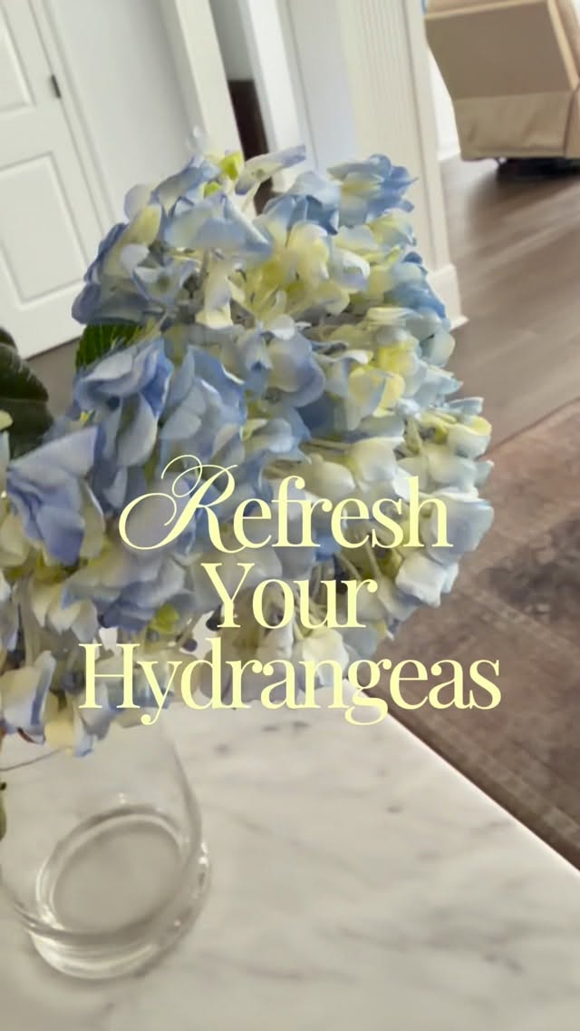 Refresh your hydrangeas 🤍Take off the leaves, cut the stems at an angle and fill up the vase with hot water. You don’t it to be boiling, but you do want it to be hot. Put the stems back in. One hour later, they are back to life. My evanescence people get it!!! Hope this hack helped ✨🤍 🌼 Hydrangeas flower Summer Wilting by @mariumhosein