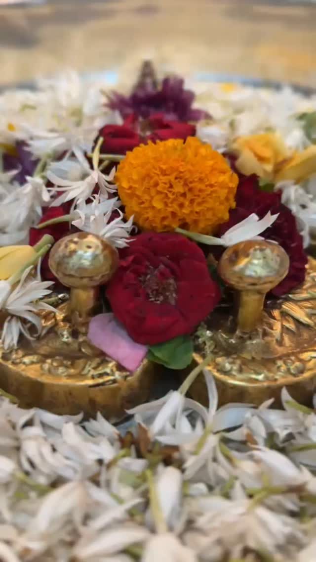 १०/०६/२०२६ Shri mahalakshmi mandir mumbai🌷